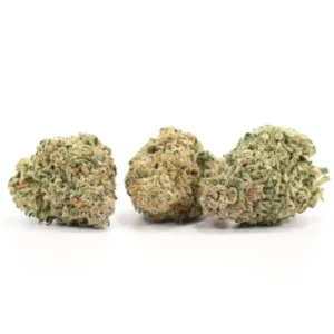 Buy Jack Herer Weed Strain