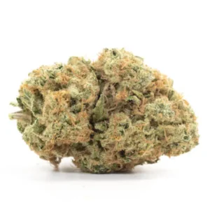 White Rhino