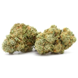 buy jack herer weed strain