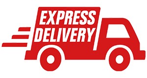 express delivery